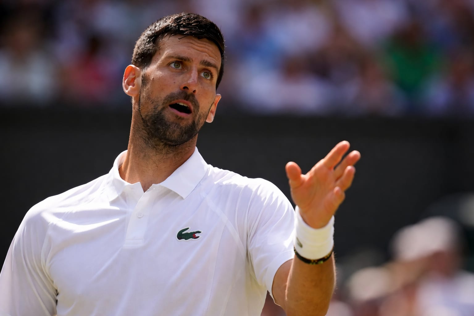 Novak Djokovic a ajuns la 106 victorii la Wimbledon și l-a depășit pe Roger Federer