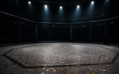 Bogdan Grad a câștigat prin finalizare la UFC Belgrad într-o atmosferă tensionată